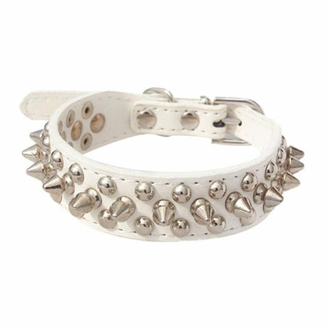 Spiked Dog Collar
