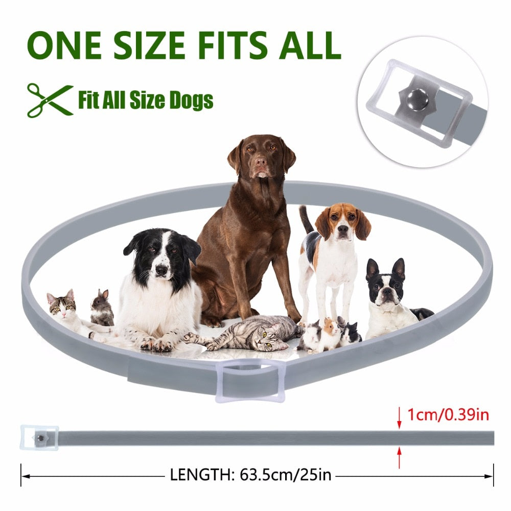 Dog Anti Insect Collar