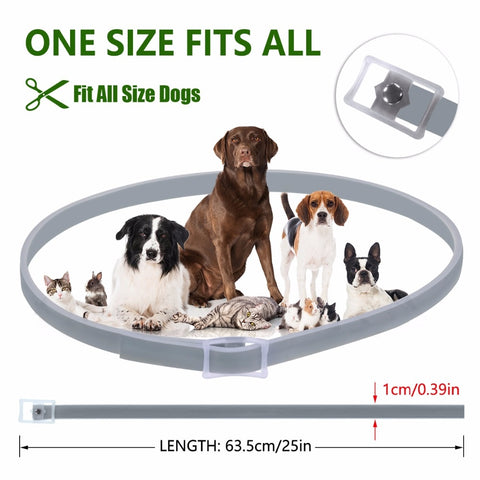 Dog Anti Insect Collar