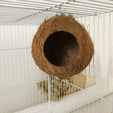 Natural Coconut Shell