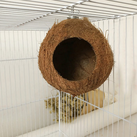 Natural Coconut Shell