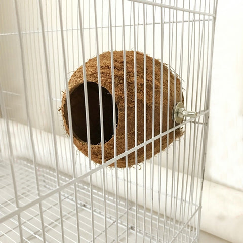 Natural Coconut Shell
