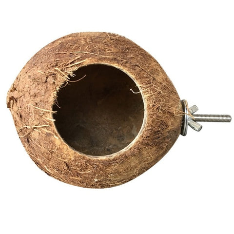 Natural Coconut Shell