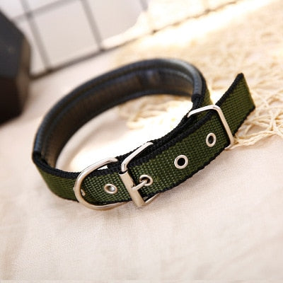 Nylon Strap Dog Collar