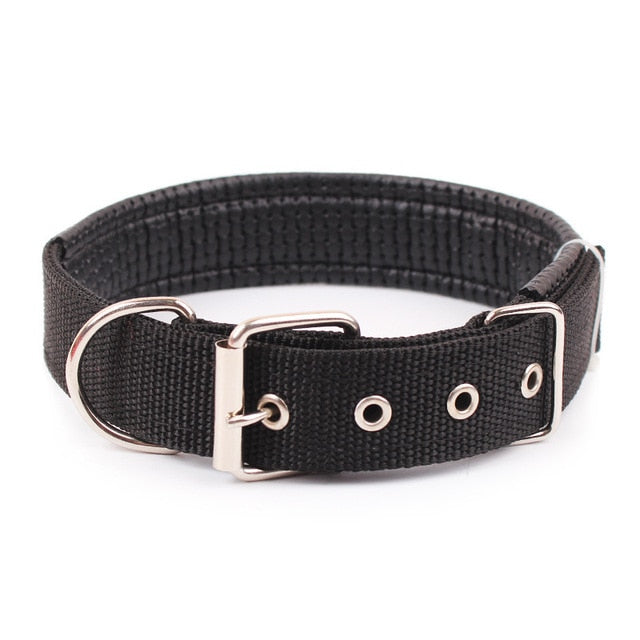Nylon Strap Dog Collar