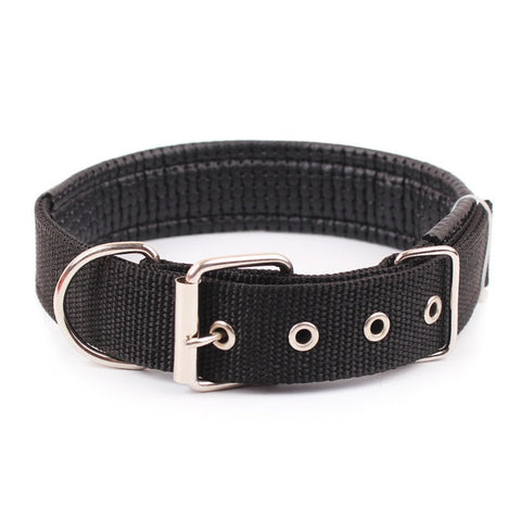 Nylon Strap Dog Collar