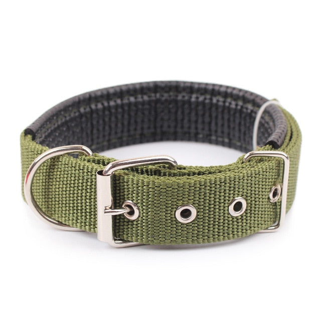 Nylon Strap Dog Collar