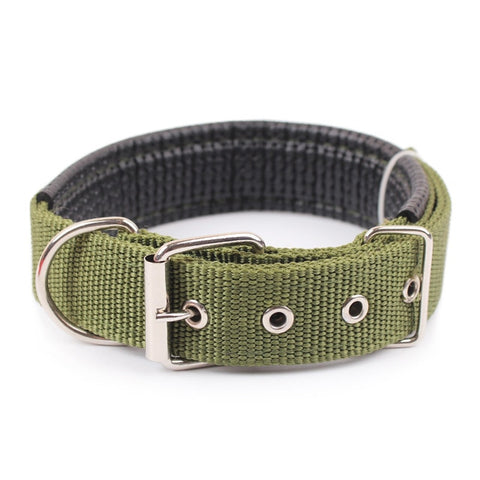 Nylon Strap Dog Collar