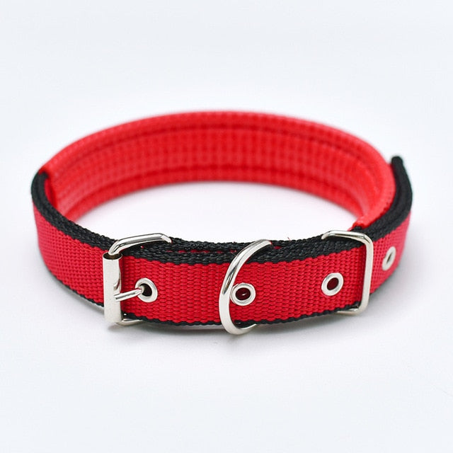 Nylon Strap Dog Collar