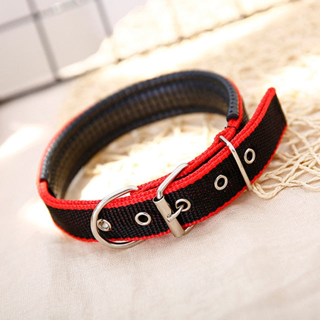 Nylon Strap Dog Collar