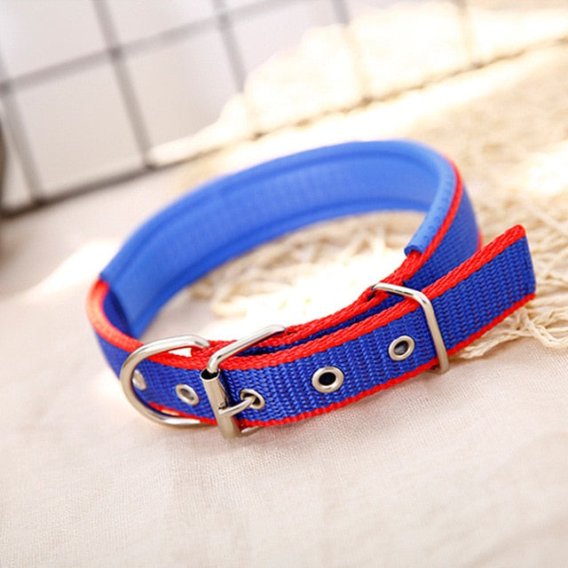 Nylon Strap Dog Collar