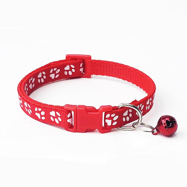 Paw Print Collar