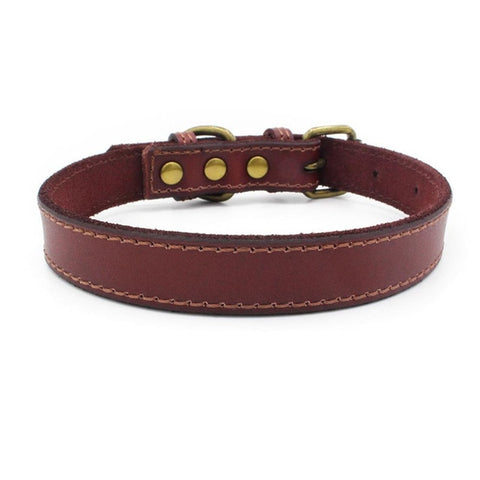 Leather Soft Collar