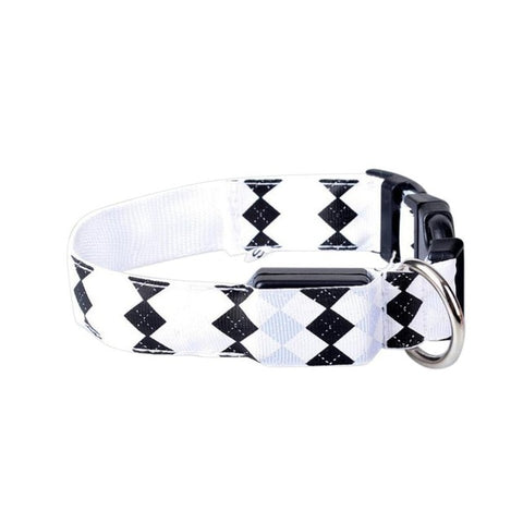 Flashing Nylon LED Collar