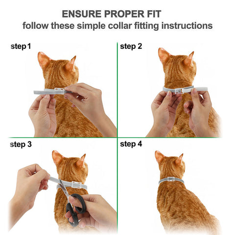 Cat Anti-insect Collar