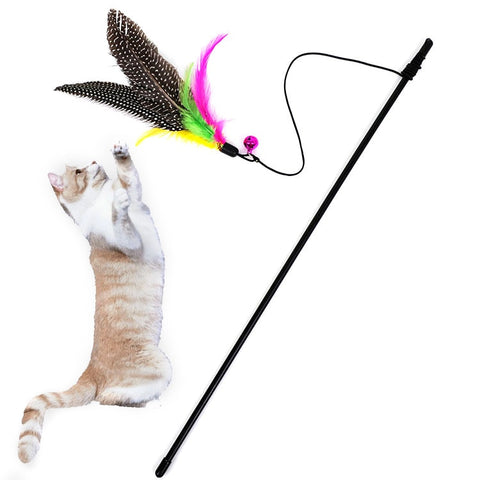 Feather Teaser Stick