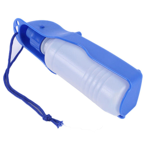 Plastic Water Bottle