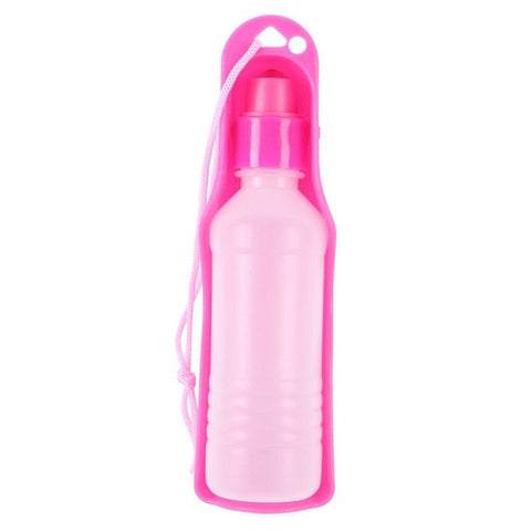 Plastic Water Bottle