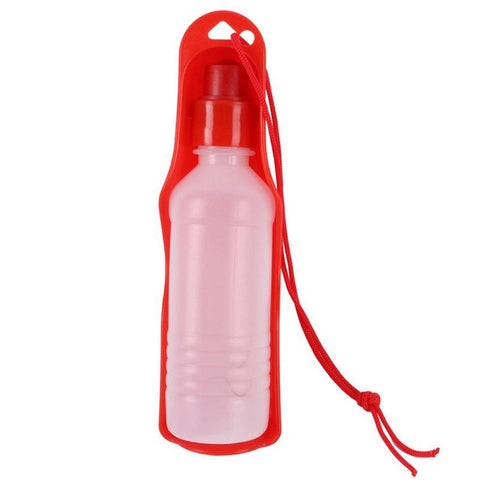 Plastic Water Bottle