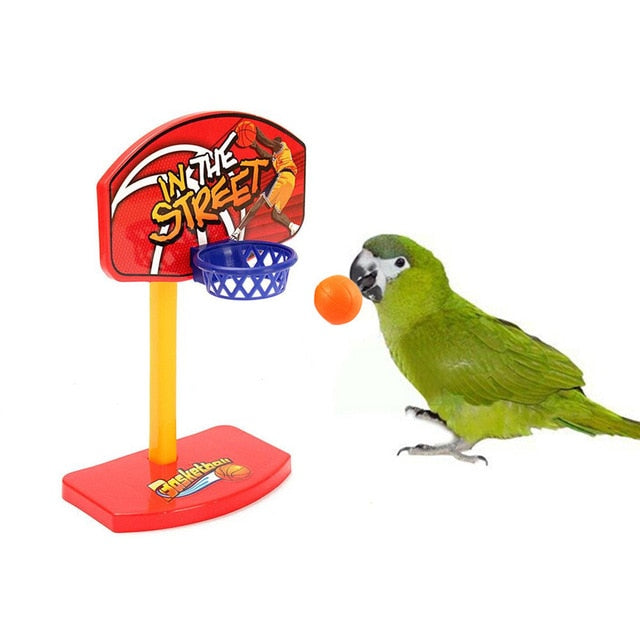 Plastic Toy Basketball