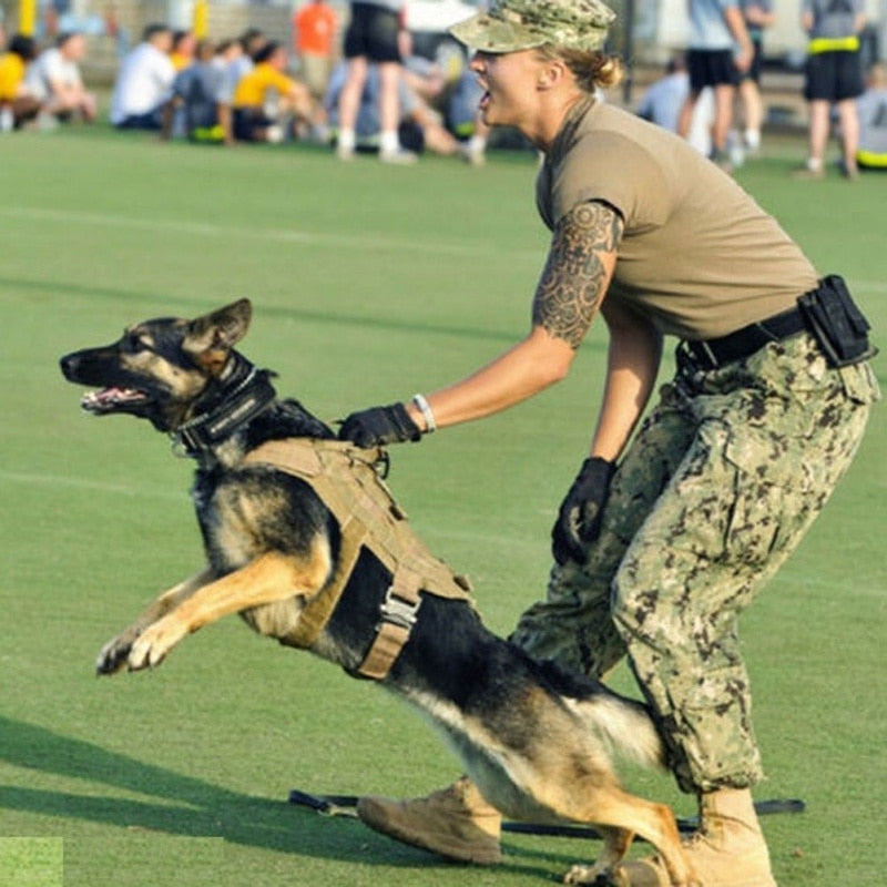 Tactical Dog Vest
