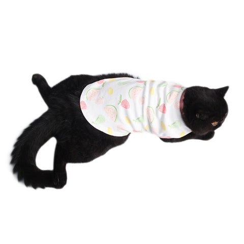 Fruit Pattern Cat Clothes