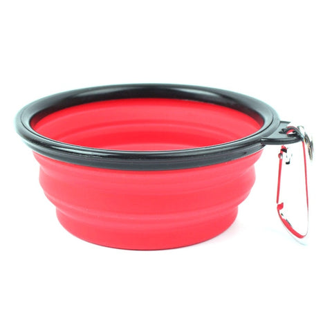 Collapsible Dog Bowl