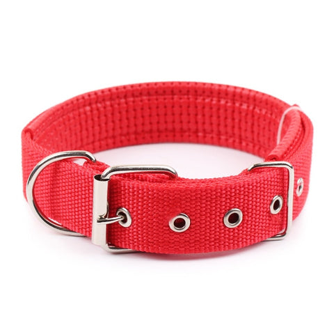 Nylon Strap Dog Collar