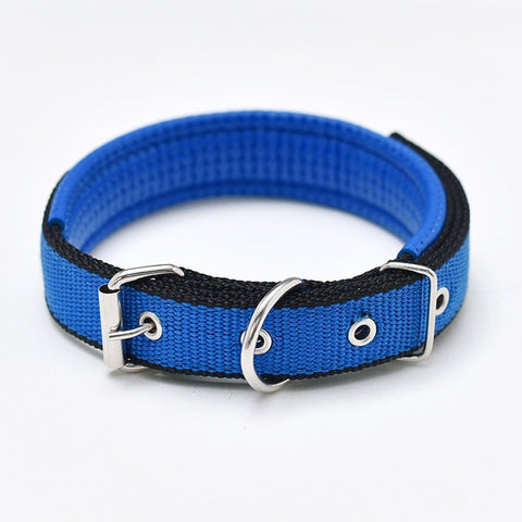 Nylon Strap Dog Collar