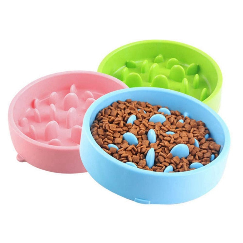 Feeding Pet Bowl