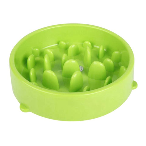 Feeding Pet Bowl