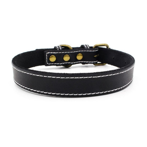 Leather Soft Collar