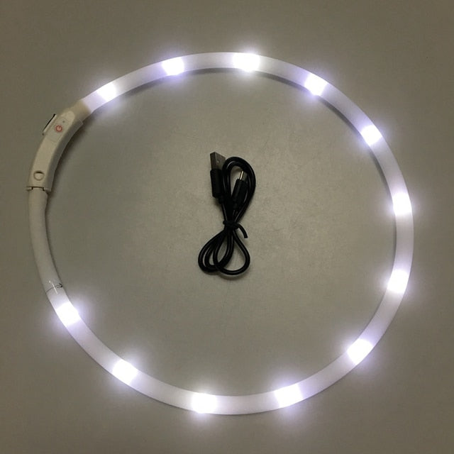 LED Luminous Collar