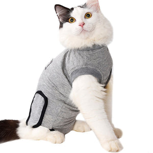 Pet Recovery Suit