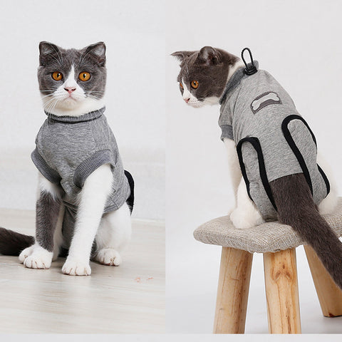 Pet Recovery Suit