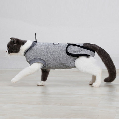Pet Recovery Suit